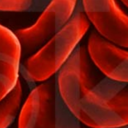 The Miscarriage Chronicles: The Loss Of Blood (part 1)