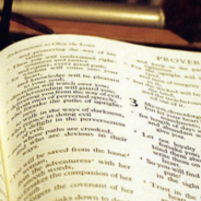 The Barren Woman Bible