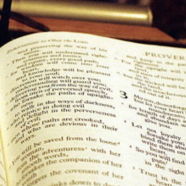 The Barren Woman Bible
