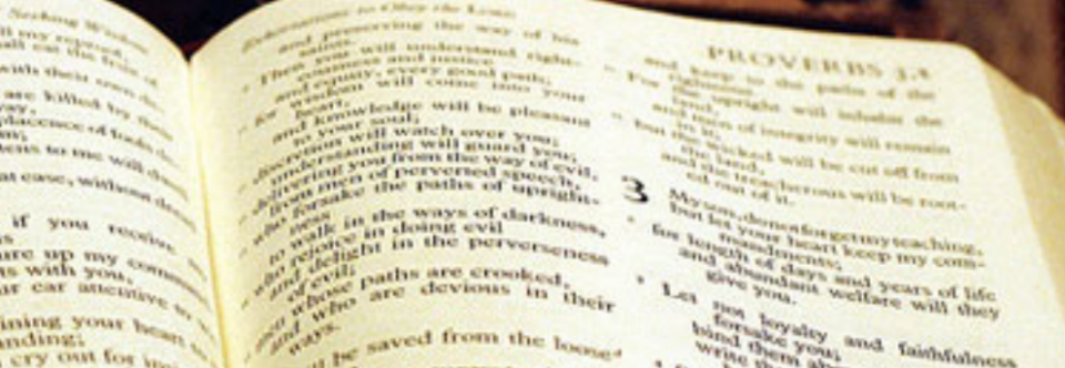 The Barren Woman Bible