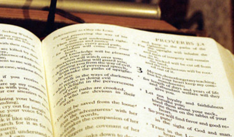 The Miscarriage Chronicles: The Barren Woman Bible